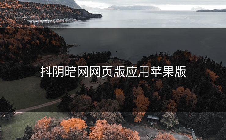 抖阴暗网网页版应用苹果版