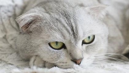 本周我在黑料正能量往期看到明星黑料,第一反应是说不清一张截图能说明什么