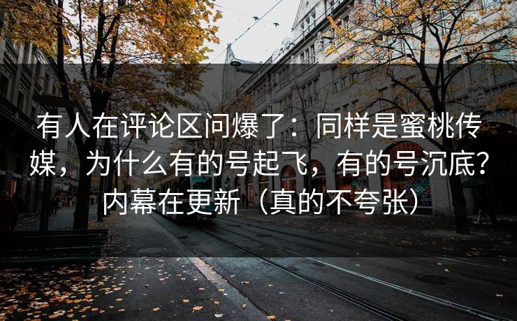 有人在评论区问爆了：同样是蜜桃传媒，为什么有的号起飞，有的号沉底？内幕在更新（真的不夸张）