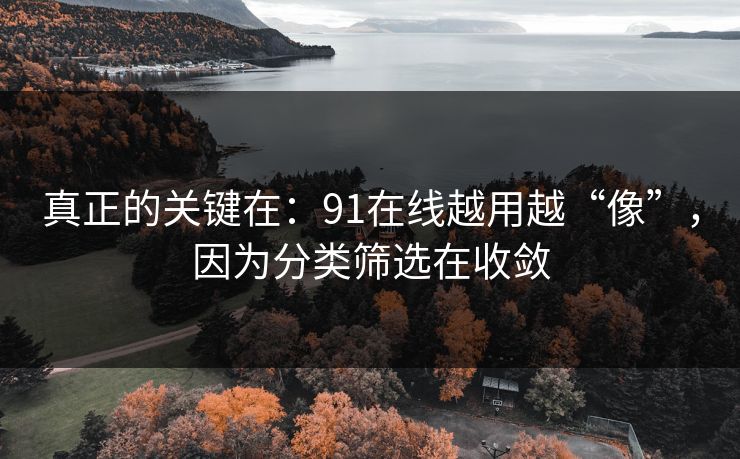 真正的关键在：91在线越用越“像”，因为分类筛选在收敛